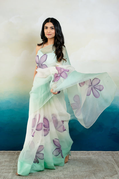 UNS Handpainted Ombré Organza Saree