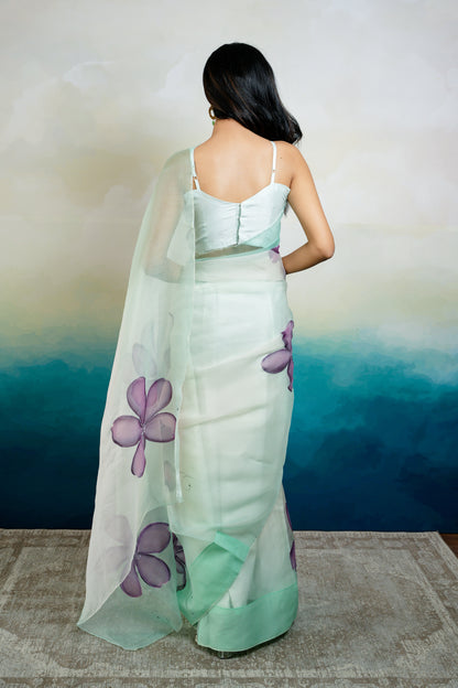 UNS Handpainted Ombré Organza Saree