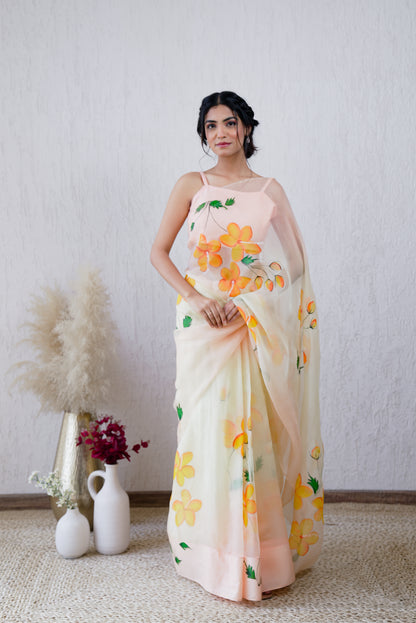 Ibadat Handpainted Ombré Organza Saree