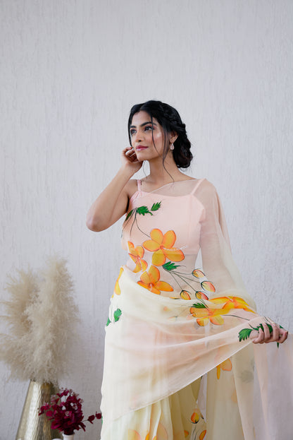 Ibadat Handpainted Ombré Organza Saree